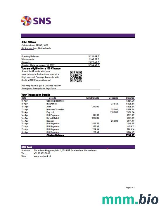 Holandia Rabobank szablon w formacie excel pdf